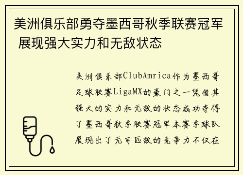 美洲俱乐部勇夺墨西哥秋季联赛冠军 展现强大实力和无敌状态 美洲俱乐部勇夺墨西哥秋季联赛冠军 展现强大实力和无敌状态